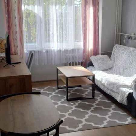 Apartament Na Podwalu Jaworzno Zewnętrze zdjęcie